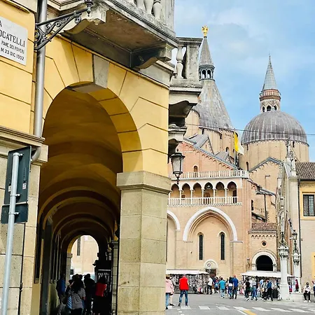 Locatelli - Patio Living 